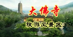 草女人逼的视频中国浙江-新昌大佛寺旅游风景区